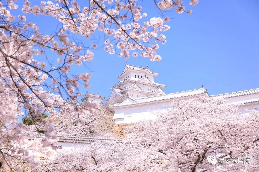 定了！日本將從3月起放寬入境限制