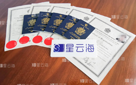 喜訊|恭喜Q女士及家人獲圣基茨·尼維斯護照和公民證書！
