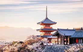 日本丨一張日本經(jīng)營管理簽證，能帶給您什么？